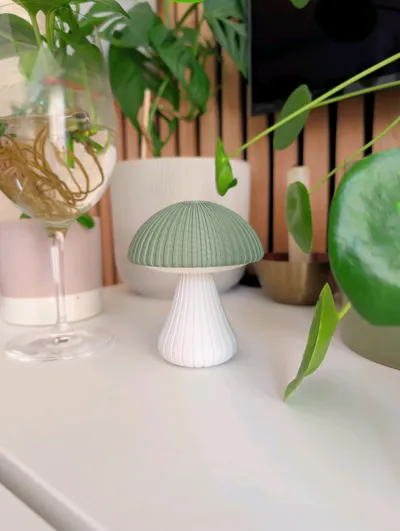 https://makerworld.bblmw.com/makerworld/model/1767150/1880759/ratings/f8fdb480-9628-11f0-844c-01958d944bde.jpg