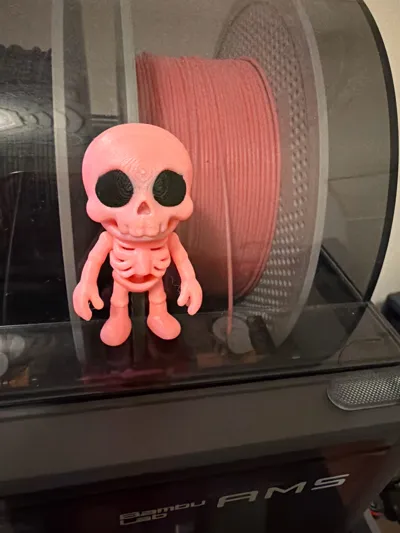 https://makerworld.bblmw.com/makerworld/model/1769257/1883308/ratings/f07957a0-af1a-11f0-b2bb-d3632fbc1b71.jpg