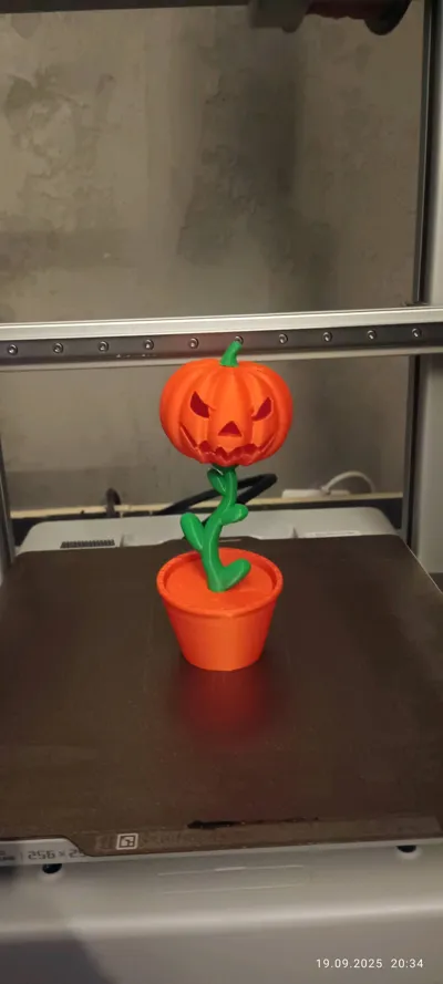 https://makerworld.bblmw.com/makerworld/model/1770110/1901548/ratings/18802eb0-9588-11f0-9862-b97aa34fc18e.jpg