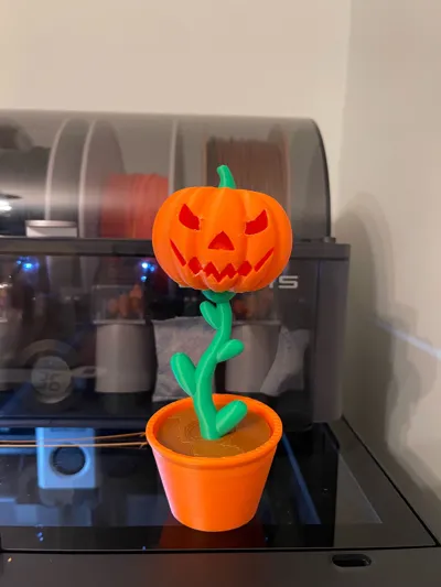 https://makerworld.bblmw.com/makerworld/model/1770110/1901548/ratings/a11abd80-a0be-11f0-82c7-e9ed3f31e931.jpg