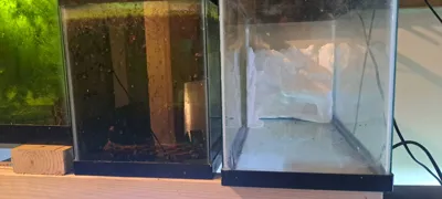 https://makerworld.bblmw.com/makerworld/model/1770466/1884794/ratings/841300e0-8c22-11f0-acf5-5beb2b3b5f6a.jpg