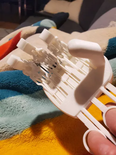 https://makerworld.bblmw.com/makerworld/model/1772809/1887602/ratings/5034d210-9b60-11f0-940c-858b5a0e4511.jpg
