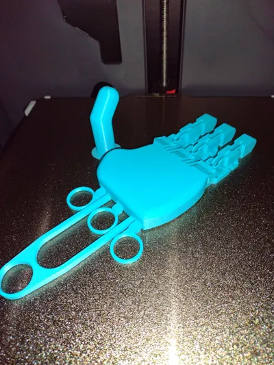 https://makerworld.bblmw.com/makerworld/model/1772809/1887602/ratings/fb767f00-9720-11f0-907e-9b6d5b578d6f.jpg