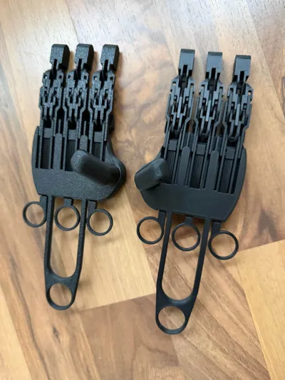 https://makerworld.bblmw.com/makerworld/model/1772809/1893378/ratings/9c690530-ea10-11f0-9b99-b1e9d99dced7.jpg