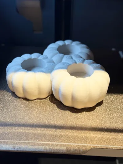 https://makerworld.bblmw.com/makerworld/model/1773356/1888258/ratings/89dd9ae0-9d33-11f0-a7af-abb2febe1097.jpg
