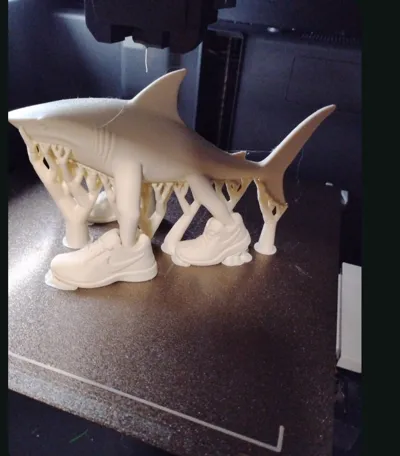 https://makerworld.bblmw.com/makerworld/model/1773515/1888434/ratings/4dc5fd80-c016-11f0-9820-bd1002915f31.png