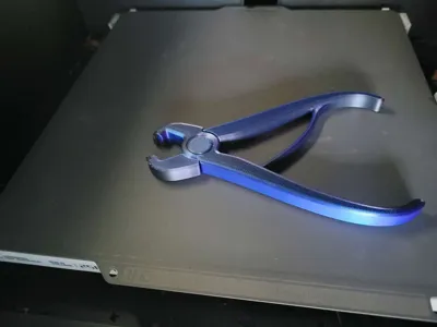 https://makerworld.bblmw.com/makerworld/model/1776866/1958196/ratings/1d7e6f50-c7c7-11f0-9fc9-dd517638f2ae.jpg