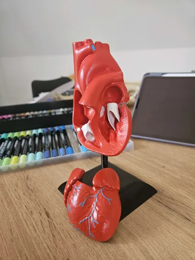 https://makerworld.bblmw.com/makerworld/model/1777096/1892620/ratings/1687bc60-919e-11f0-9d46-a9b61668a08a.jpg