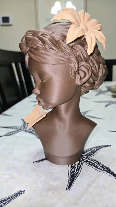 https://makerworld.bblmw.com/makerworld/model/1777931/1897253/ratings/591851b0-bc10-11f0-9171-bb781e8ef27c.jpg