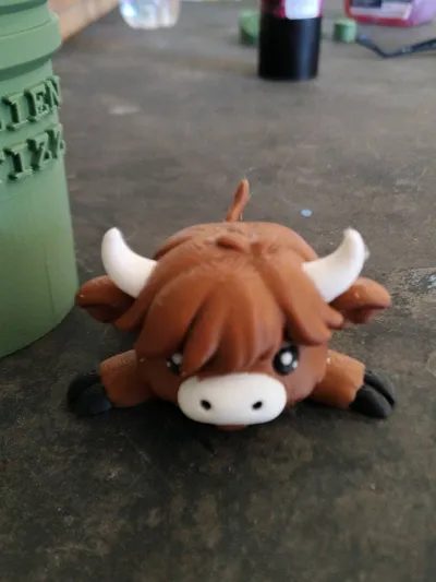 https://makerworld.bblmw.com/makerworld/model/1780425/1896516/ratings/40484c20-f2f3-11f0-97dd-1b0f838eec93.jpg