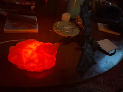 https://makerworld.bblmw.com/makerworld/model/1782139/1898508/ratings/d4b73530-981f-11f0-86f3-19724075a8e5.jpg