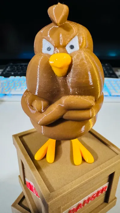 https://makerworld.bblmw.com/makerworld/model/178339/210441/ratings/95ee9470-245b-11f0-a3d8-1b4860b7540d.jpg