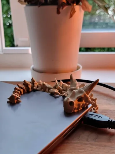 https://makerworld.bblmw.com/makerworld/model/1786135/1903135/ratings/838cce70-9579-11f0-acec-451d5383a303.jpg