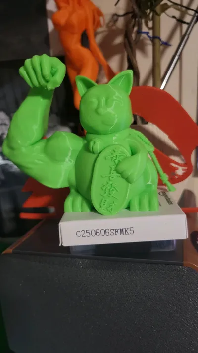 https://makerworld.bblmw.com/makerworld/model/178703/196663/ratings/764cd5b0-e2aa-11f0-816e-5b5e55704e5a.jpg