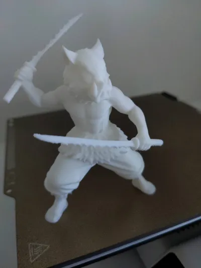 https://makerworld.bblmw.com/makerworld/model/1787321/1904568/ratings/b761c080-cdef-11f0-9811-0b66c9cd25da.jpg
