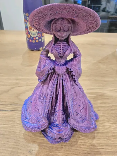 https://makerworld.bblmw.com/makerworld/model/1787358/1904612/ratings/ee5567a0-a4d1-11f0-90b9-33ad50208340.jpg