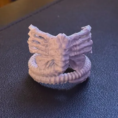https://makerworld.bblmw.com/makerworld/model/1787836/1905147/ratings/21a7d5f0-911a-11f0-8069-bff1c975a868.jpg