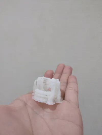 https://makerworld.bblmw.com/makerworld/model/1787836/1905147/ratings/89e540d0-b541-11f0-a3c1-c18c268dab4e.jpg