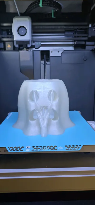https://makerworld.bblmw.com/makerworld/model/1788180/1905547/ratings/b1409970-967b-11f0-950a-59d701686693.jpg