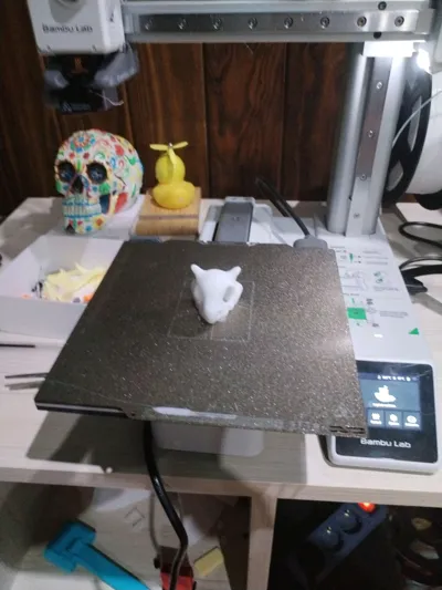 https://makerworld.bblmw.com/makerworld/model/1788386/1905768/ratings/ad0a4e60-a935-11f0-9968-c18dbe6a6dcc.jpg