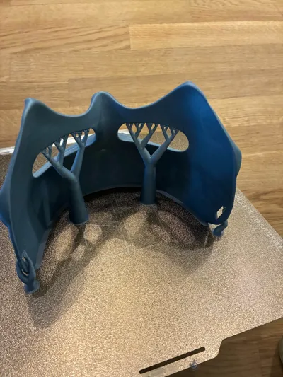https://makerworld.bblmw.com/makerworld/model/1789247/1906750/ratings/ba5bce80-c55b-11f0-b16a-c9b28b9064b6.jpg
