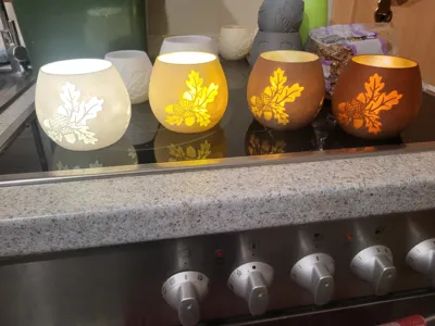 https://makerworld.bblmw.com/makerworld/model/1789680/1907190/ratings/2025-10-04_168ad85c000d2.jpg