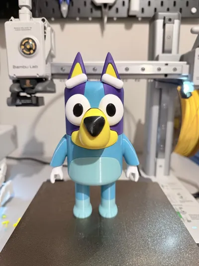 https://makerworld.bblmw.com/makerworld/model/1789903/1907431/ratings/08e98b30-ea4d-11f0-9260-37b9516418b6.jpg