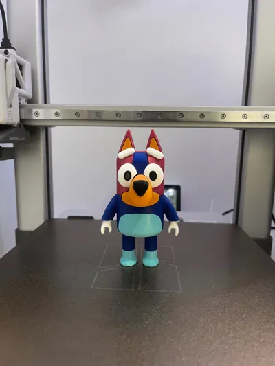 https://makerworld.bblmw.com/makerworld/model/1789903/1907431/ratings/44ffd5c0-a54c-11f0-9261-a92945b6f4e7.jpg