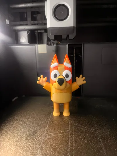 https://makerworld.bblmw.com/makerworld/model/1789903/1907431/ratings/4506b390-a54c-11f0-9261-a92945b6f4e7.jpg