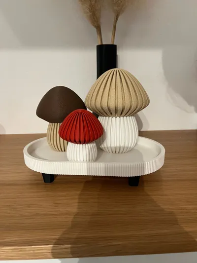 https://makerworld.bblmw.com/makerworld/model/1790768/1908442/ratings/e2bd4740-a289-11f0-a16f-4d694a5e1951.jpg
