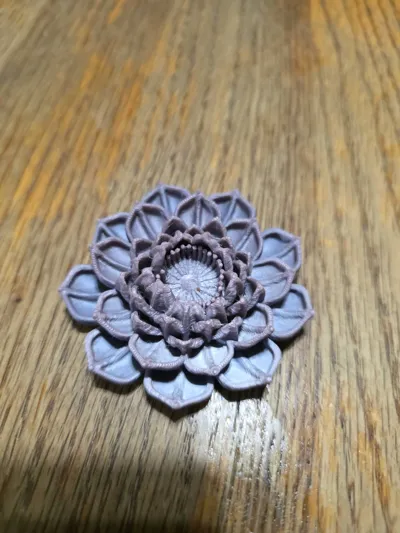 https://makerworld.bblmw.com/makerworld/model/1790825/1908511/ratings/272cb1f0-aa0e-11f0-b576-eb0d6f5a8593.jpg