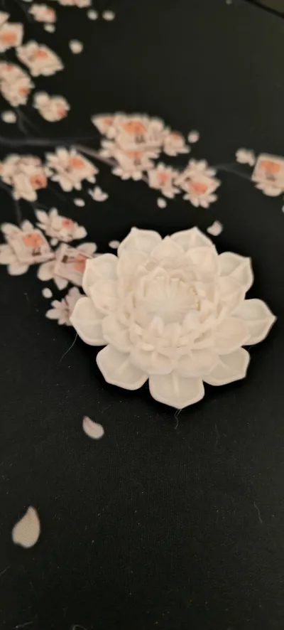 https://makerworld.bblmw.com/makerworld/model/1790825/1908511/ratings/33faa9c0-a20f-11f0-abcb-117be30e387c.jpg