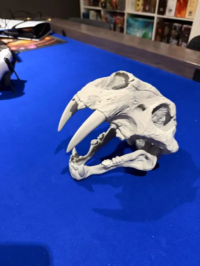 https://makerworld.bblmw.com/makerworld/model/1791696/1934608/ratings/65a82530-f753-11f0-9aeb-cf86a1ad2f6e.jpg