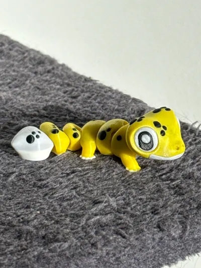 https://makerworld.bblmw.com/makerworld/model/1792848/1910821/ratings/f848c090-ee05-11f0-bfe6-ebb3999c6be0.jpg
