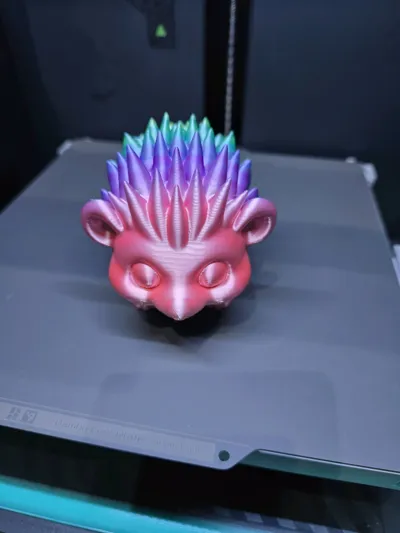 https://makerworld.bblmw.com/makerworld/model/1793172/1911220/ratings/406e7080-c7ab-11f0-86b7-f784e4f977c1.jpg