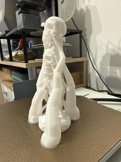 https://makerworld.bblmw.com/makerworld/model/1795284/1913894/ratings/0e232280-b412-11f0-9437-e7b4df51efd4.jpg