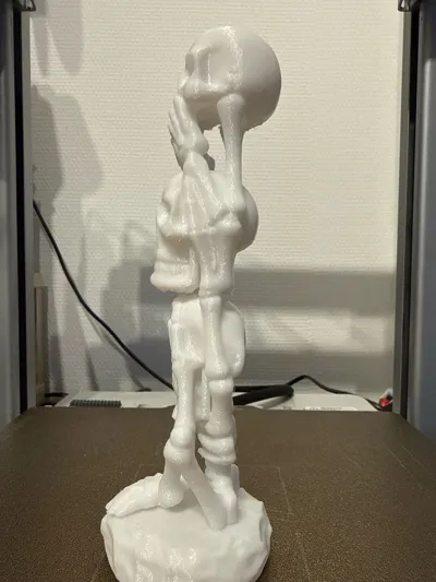 https://makerworld.bblmw.com/makerworld/model/1795284/1913894/ratings/0e40e3b0-b412-11f0-9437-e7b4df51efd4.jpg