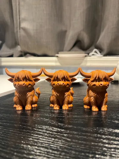 https://makerworld.bblmw.com/makerworld/model/1796142/1914835/ratings/1b260430-c776-11f0-835d-f5e6b3829c8f.jpg