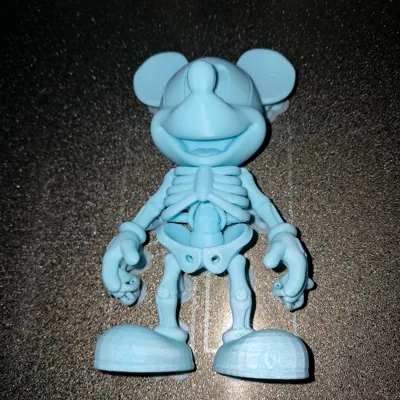 https://makerworld.bblmw.com/makerworld/model/1796596/1915442/ratings/ab4ee390-c3e0-11f0-9371-b1fd5c38beef.jpg
