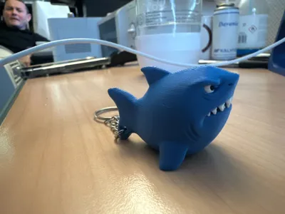 https://makerworld.bblmw.com/makerworld/model/1796636/1915496/ratings/7068a140-f78d-11f0-a6bf-15686bc08915.jpg