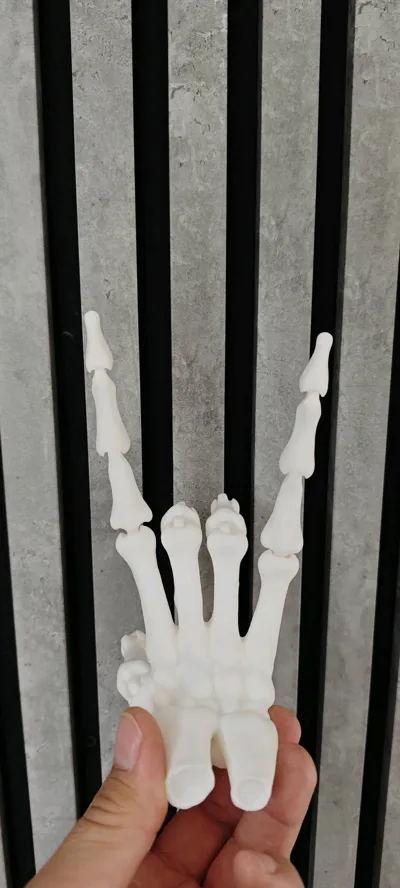 https://makerworld.bblmw.com/makerworld/model/1796980/1915949/ratings/362329c0-b9a2-11f0-a69b-9fd4ffbc93dd.jpg