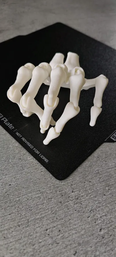 https://makerworld.bblmw.com/makerworld/model/1796980/1915949/ratings/363e52e0-b9a2-11f0-a69b-9fd4ffbc93dd.jpg