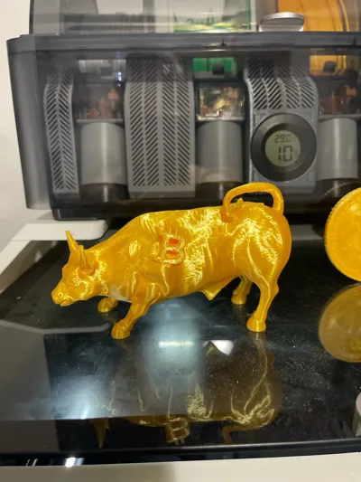 https://makerworld.bblmw.com/makerworld/model/179825/197824/ratings/df594210-198c-11f0-9755-f181728b2a91.jpg