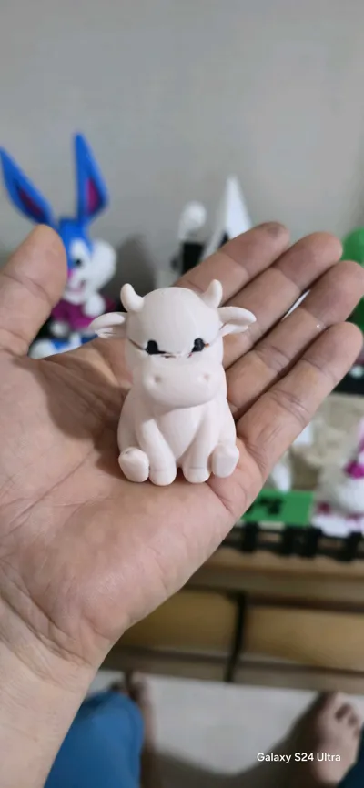 https://makerworld.bblmw.com/makerworld/model/1798260/1917375/ratings/4896c410-7782-11f1-aa88-39189c63c446.jpg