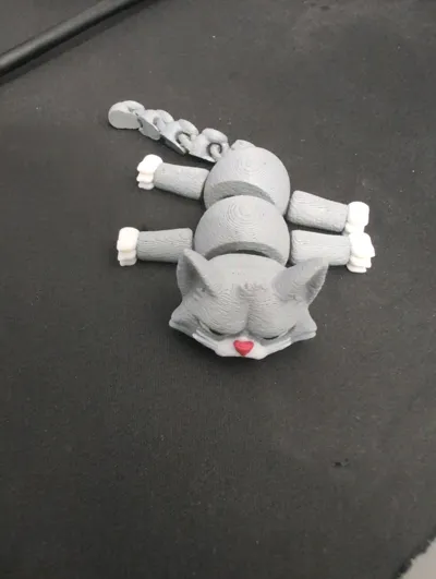 https://makerworld.bblmw.com/makerworld/model/1800386/1919837/ratings/3397db70-ab32-11f0-adaa-9df93dafb84e.jpg