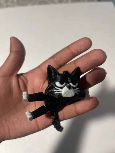 https://makerworld.bblmw.com/makerworld/model/1800386/1919837/ratings/8ac41f20-9ff8-11f0-ba86-fdbd8e1f3cee.jpg