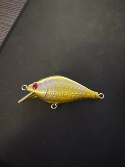 https://makerworld.bblmw.com/makerworld/model/1802928/1922757/ratings/610fe740-941d-11f0-9a00-617482940666.jpg
