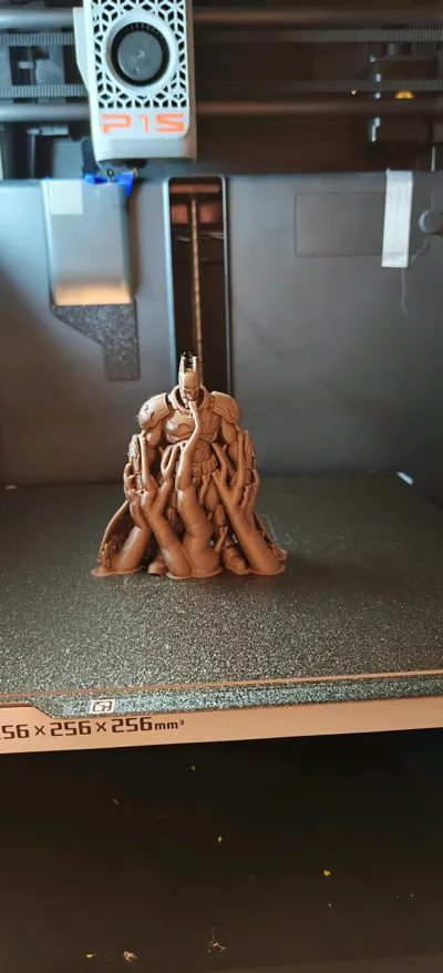 https://makerworld.bblmw.com/makerworld/model/1803712/1923621/ratings/91d20970-f724-11f0-9492-15aa097b78cd.jpg