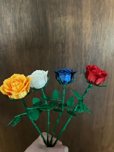 https://makerworld.bblmw.com/makerworld/model/180402/1294809/ratings/1587e5f0-0ddc-11f1-9731-1b03b0356ea1.jpg