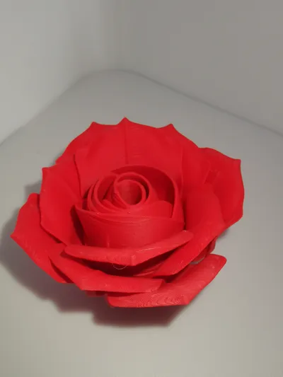 https://makerworld.bblmw.com/makerworld/model/180402/198498/ratings/3e5de980-02ba-11f0-b19e-dfe1820cede8.jpg